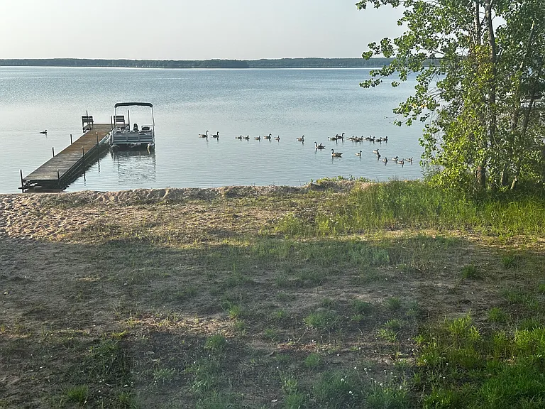 Plenty of wildlife to enjoy. Very peaceful setting.
