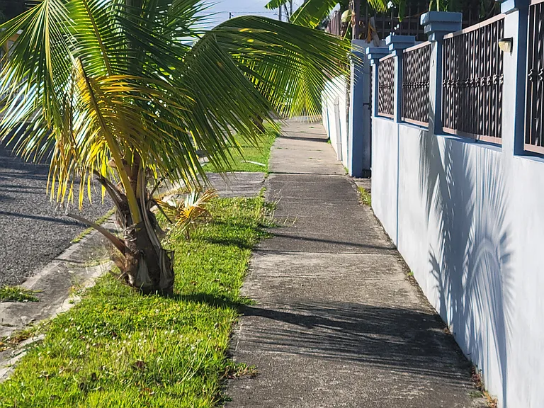 Fenced Yard