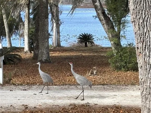 111 Little Orange Lake Dr, Hawthorne, FL 32640