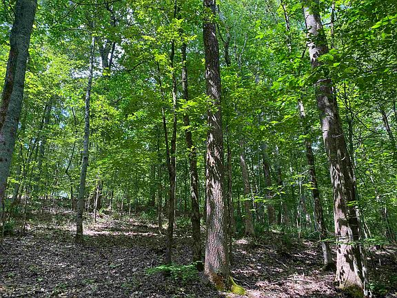 36th image of this home