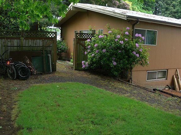This is upper entry area to the yard and the huge shade tree to relax.
