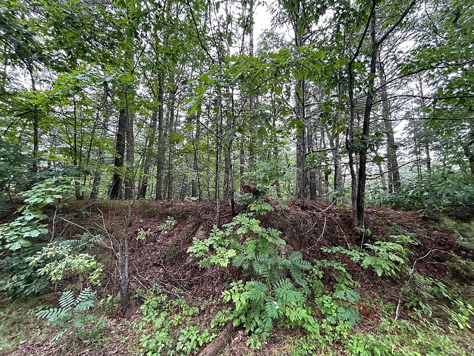 2nd image of 340 George Wright Road