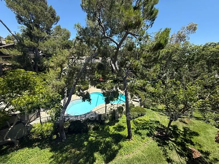 19 Viejo — Photo 29