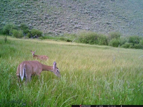 3966 Camp Creek Rd, Butte, MT 59701