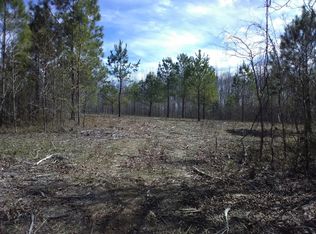 0 Davis Hollow Rd, Minor Hill, TN 38473