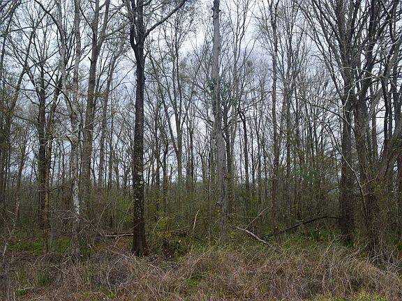 5th image of 1723 Highway 923