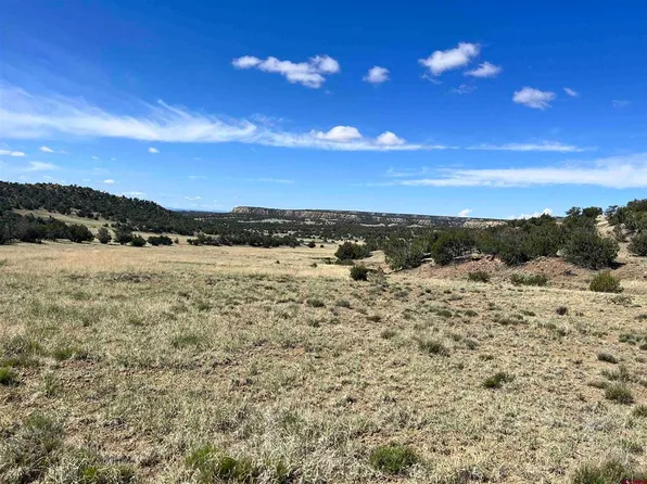 TBD Highway 36, Out of Area, NM 87315
