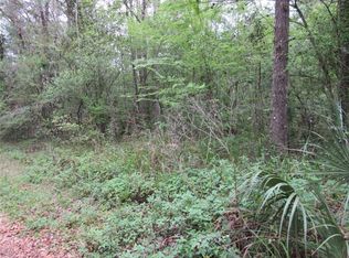 19593 Manecke Rd, Brooksville, FL 34601