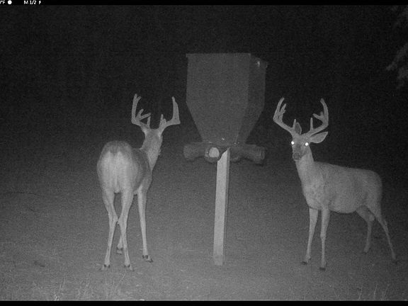 5th image of 36TH And Laplatte