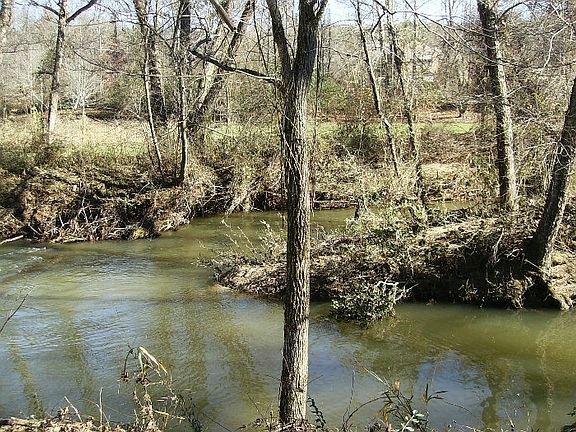 3rd image of LOT 51 Brasstown Trails ,