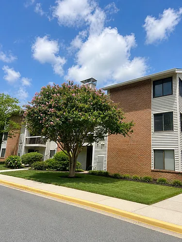 1110-3C Castle Harbour Way Photo 1