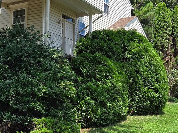 4th image of 520 Southhampton Ln