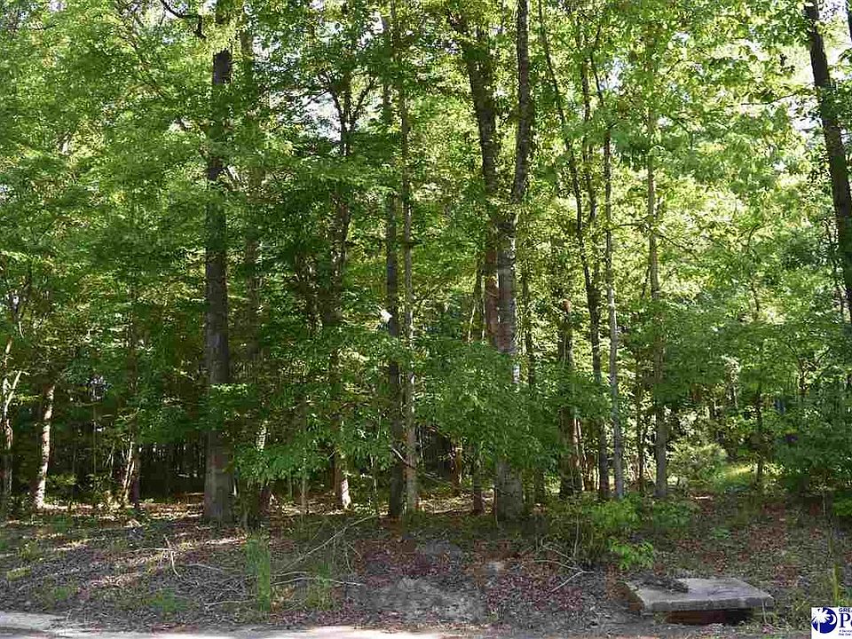 2nd image of 633 Forest Acres Dr