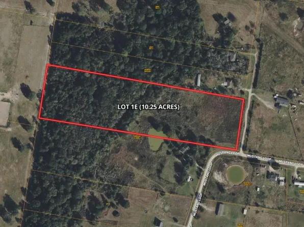 Mustang Loop, Madisonville, TX 77864