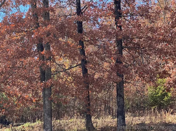 704 Woodlands Dr, Tahlequah, OK 74464