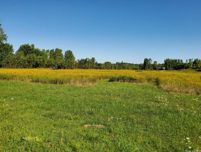 Murphy Lake Rd, Millington, MI, 48746