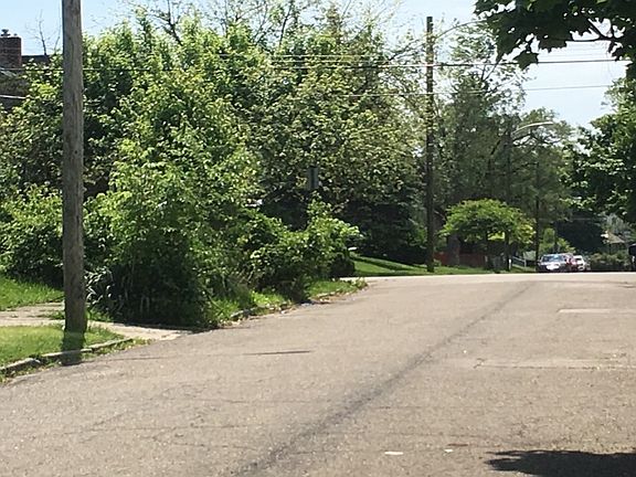 5th image of 524 Clark Ave