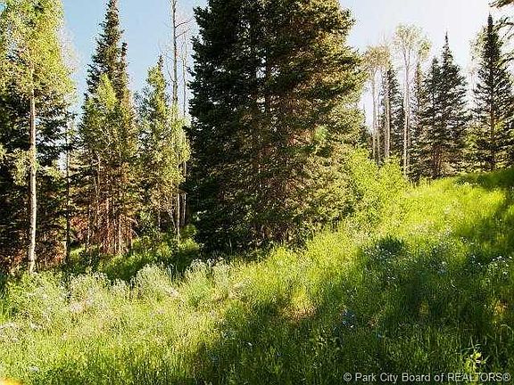 4th image of 206 White Pine Canyon Rd #206