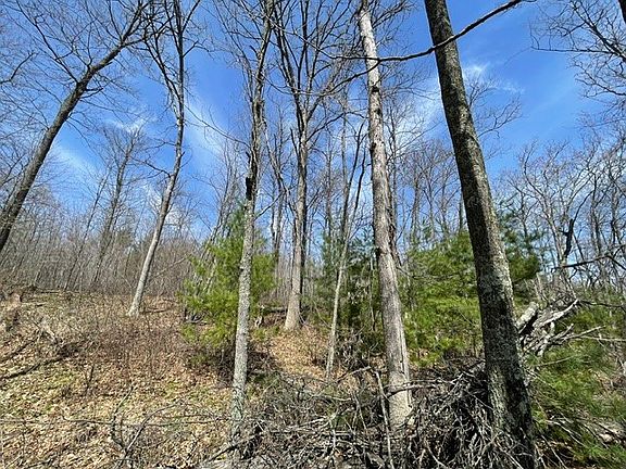 5th image of 0 White Oak Trail
