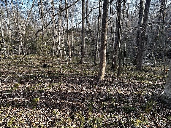 3rd image of 24 Double Eagle Dr