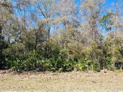 0 NW 48th Ter #15, Chiefland, FL, 32626