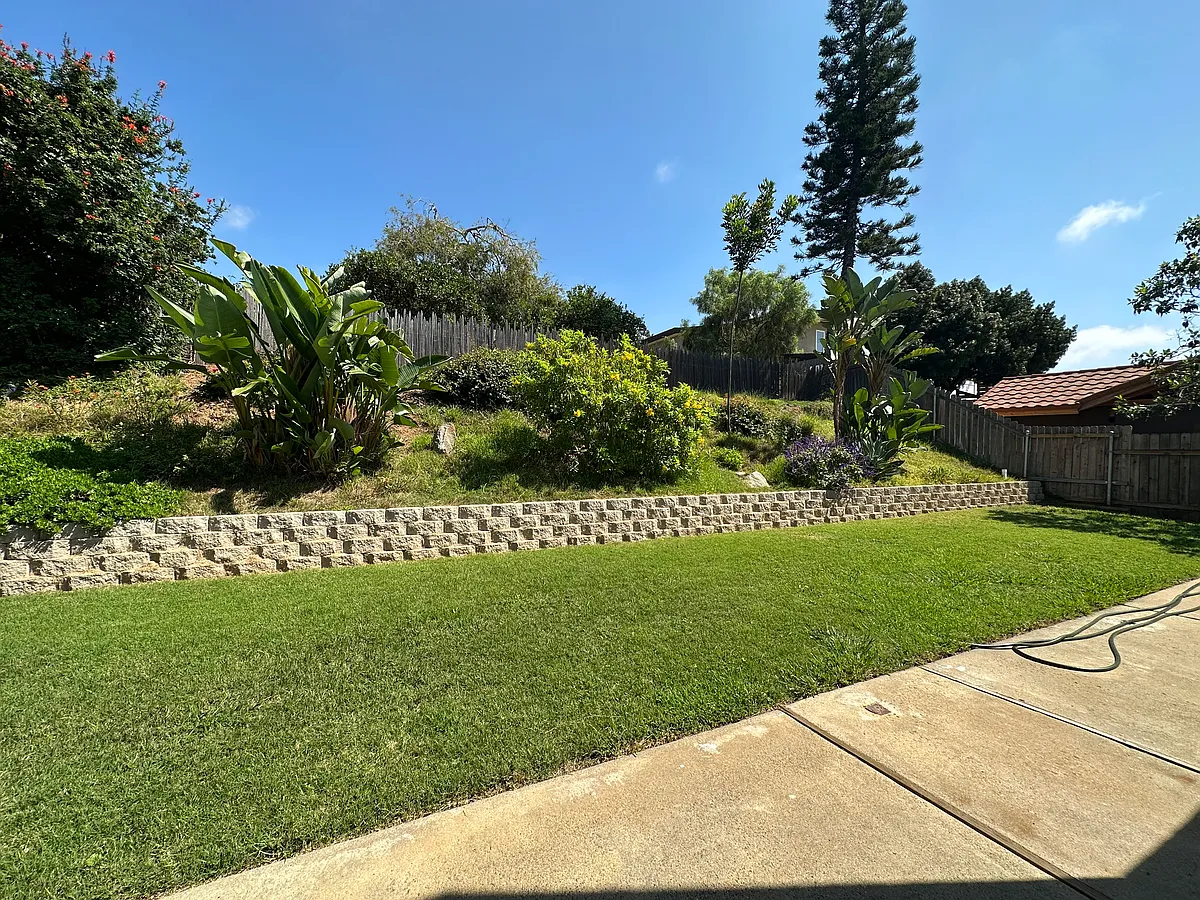 Shared Backyard - Kurtz St