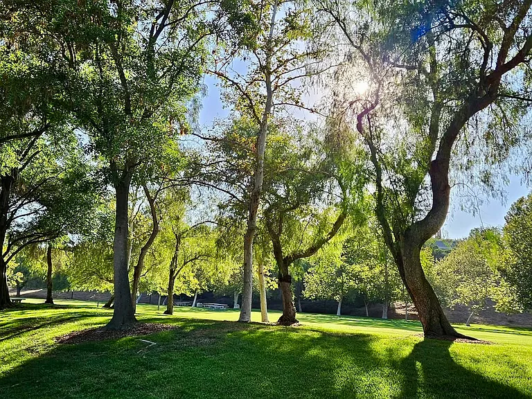 Enjoy scenic flat and hilly walking and hiking trails at Summit Park ideal for outdoor recreation and family fun.