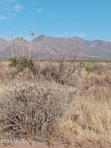 N Bell Rd, Elfrida, AZ, 85610