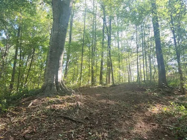 0 Saint Paul Church Rd, Huntingdon, TN 38344