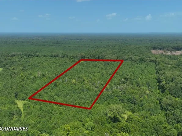 0 Federation Rd, Gainesville, AL 35464