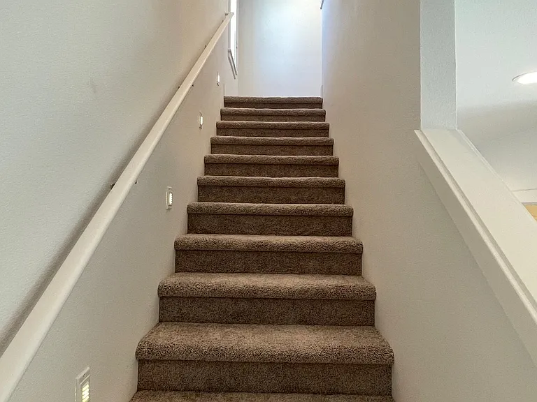 2552 Brackenfern Rd — Photo 21