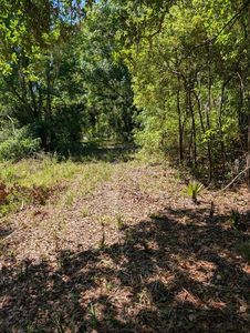 0 NW 202nd Pl Lot 42-56, Mc Intosh, FL, 32664