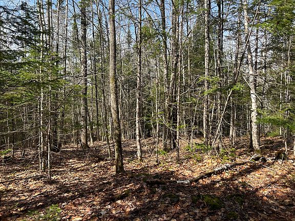 4th image of Lot 4 Holley Road