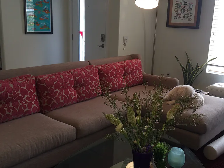1610 Amelia Way — Photo 9
