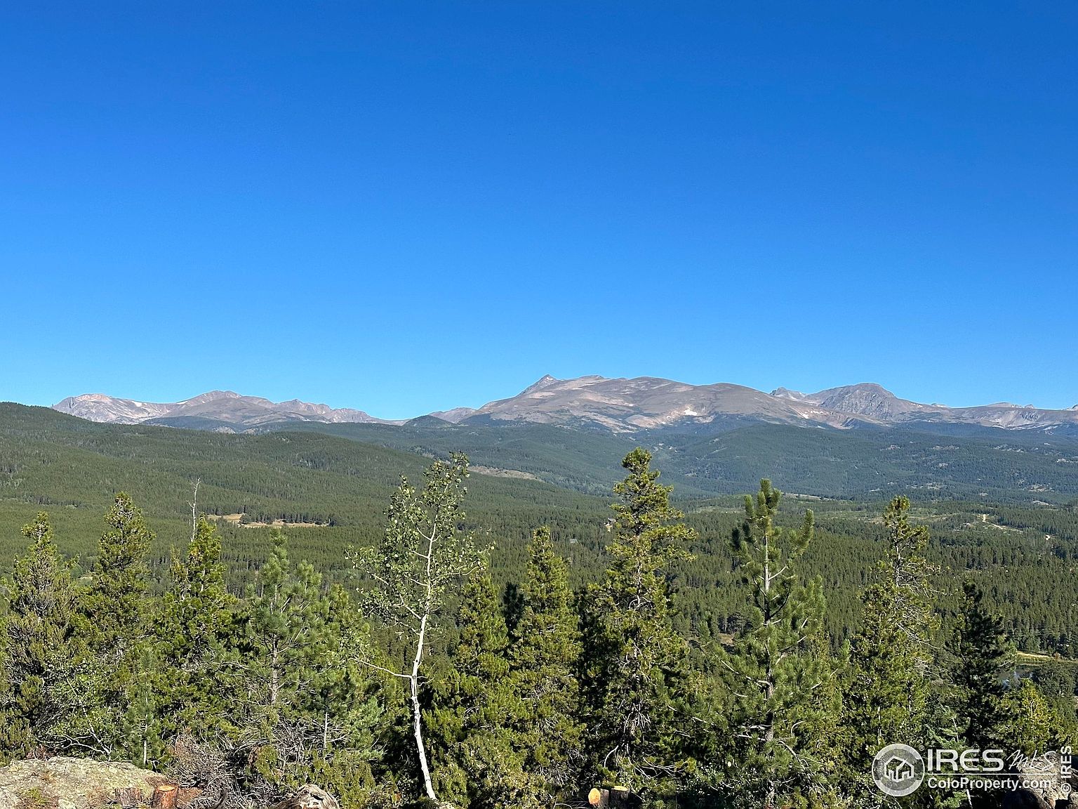 0 Dude's Dr, Rollinsville, CO 80474 MLS 996094 Zillow
