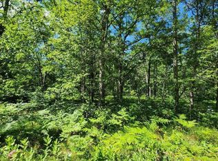 110 Loon Ln, Saint Helen, MI 48656