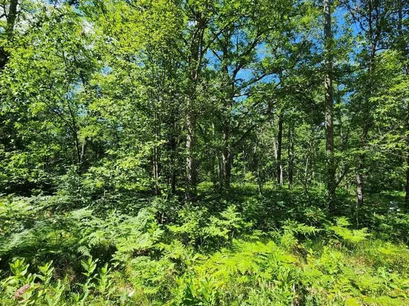 110 Loon Ln, Saint Helen, MI 48656