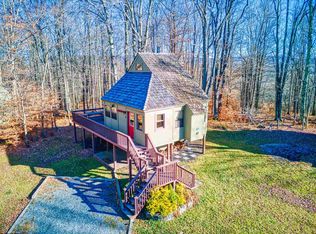49 Red Squirrel Run, Davis, WV 26260