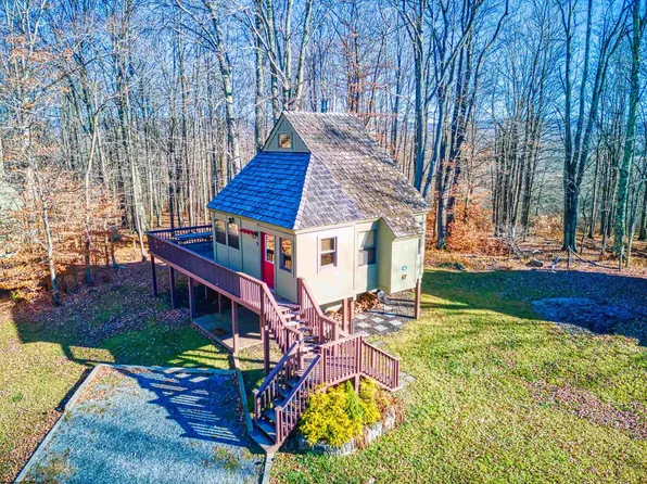 49 Red Squirrel Run, Davis, WV 26260