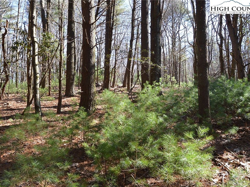 1st image of TBD Pine Grove Circle