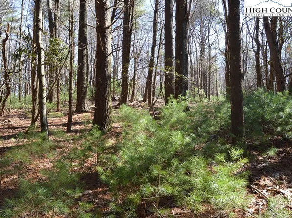 TBD Pine Grove Circle, Sparta, NC 28675