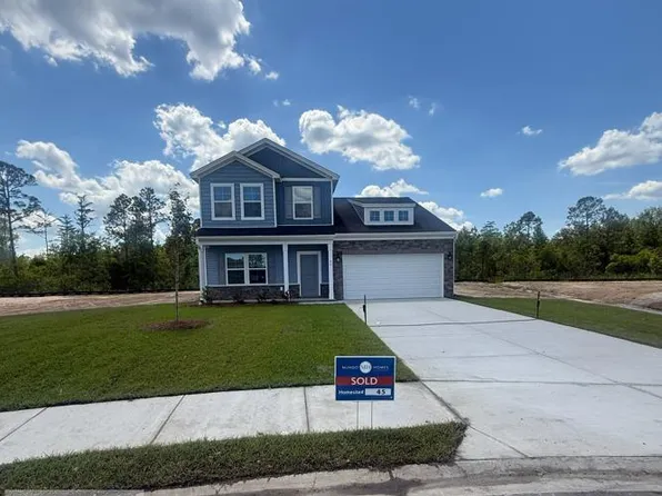 45 Gooseberry Ct NE, Ludowici, GA 31316