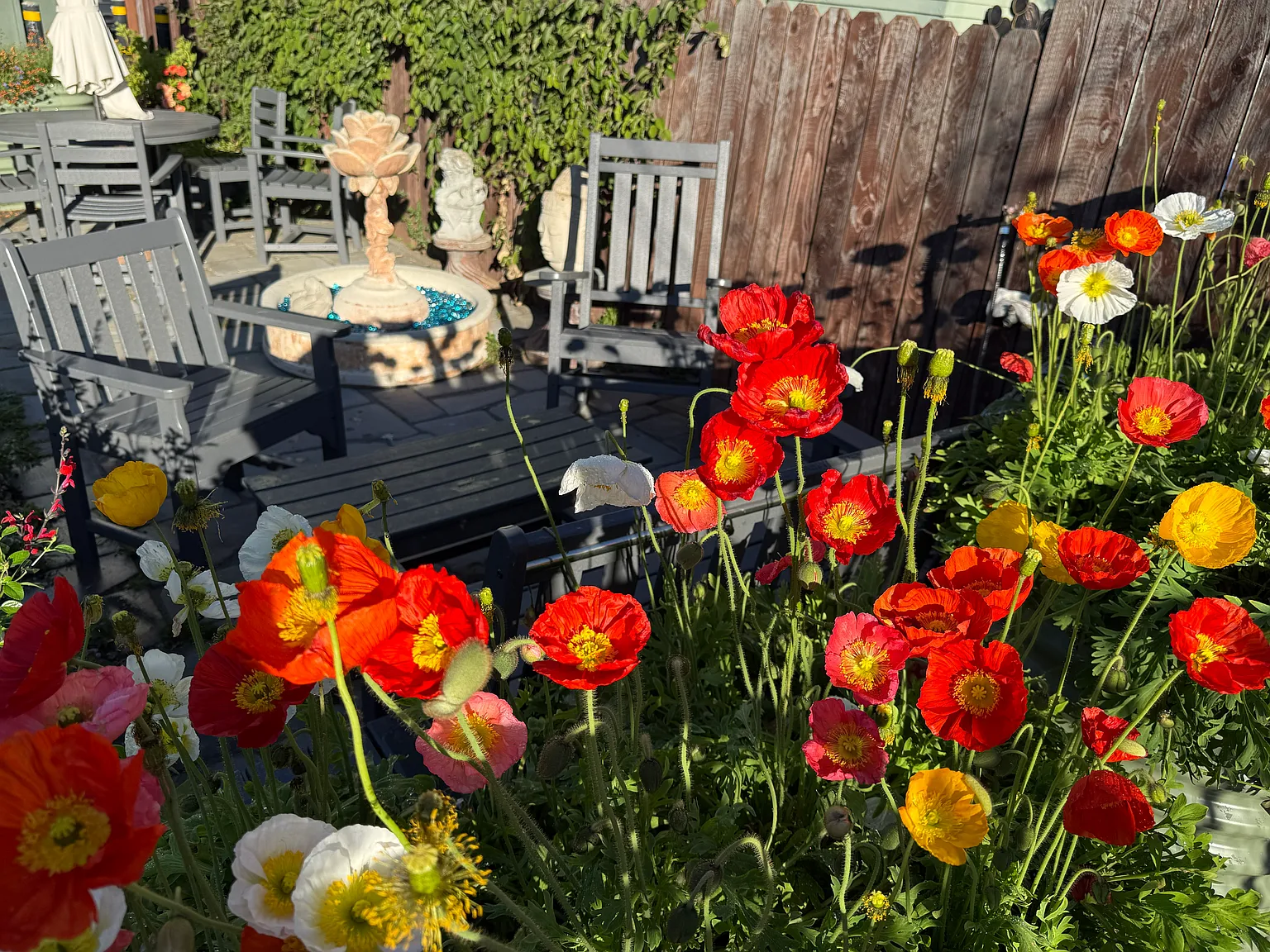 California Apartments — Photo 4