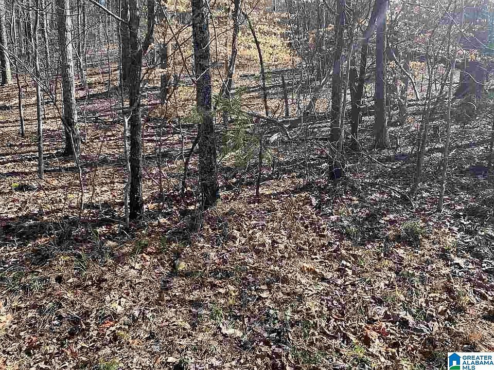 2nd image of 8511 Scenic Ridge Dr #41