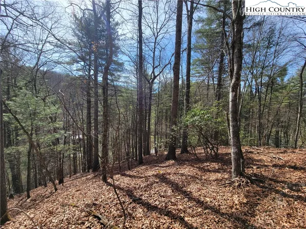 TBD (Lot 72) Creekside Meadows Drive, Fleetwood, NC 28626