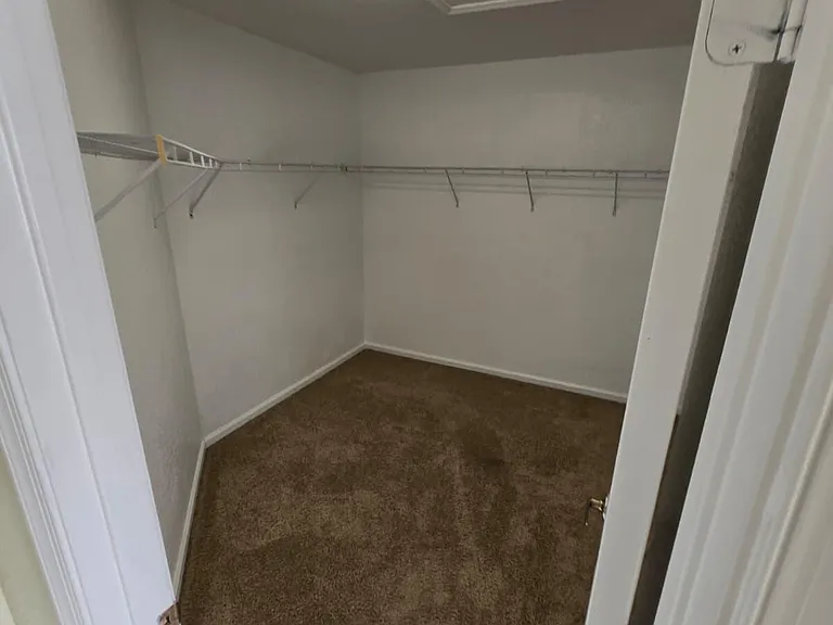 4701 Cohune Palm Ct — Photo 13