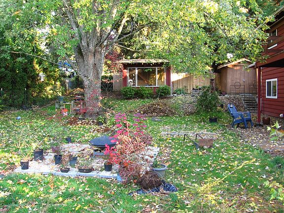 Back yard