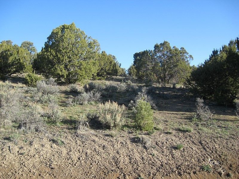 1st image of Tbd Woodhills Ln