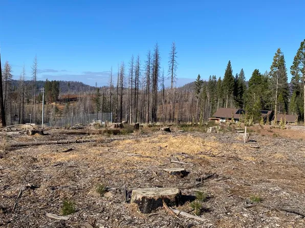 4852 Sciaroni Rd, Grizzly Flats, CA 95636