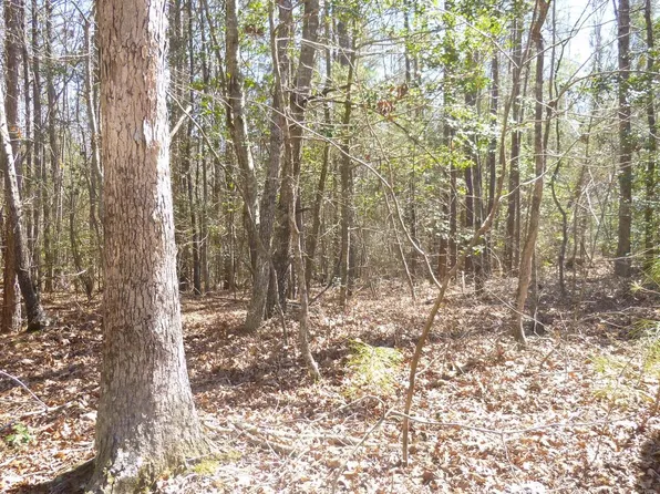 Kings Hwy, Montross, VA 22520
